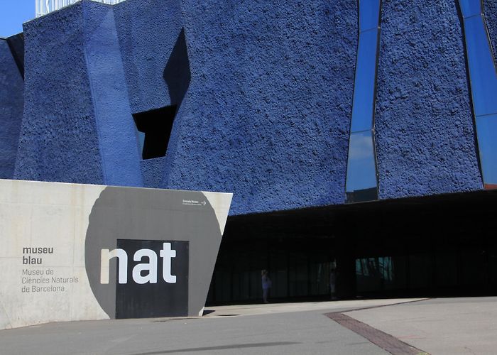 Museu Blau Barcelona Museu Blau - Barcelona's blue museum - ShBarcelona photo