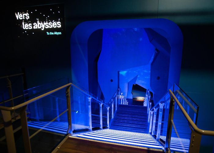 Cité de la Mer Cité de la Mer Museum Uplifts the Underwater Experience with BenQ ... photo