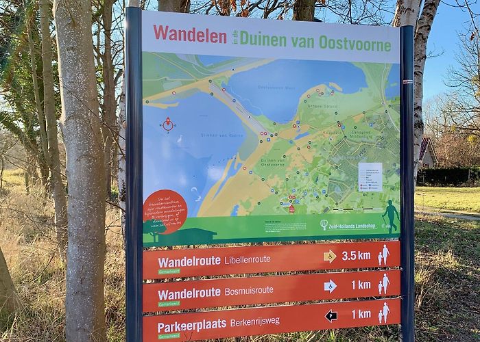 Bezoekerscentrum Tenellaplas Wandelen / Wandelen en Fietsen | Bedandbreakfastrockanjeaanzee.nl photo