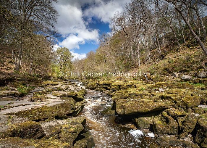 The Strid Along The Strid, Bolton Abbey - Chris Ceaser Photography photo
