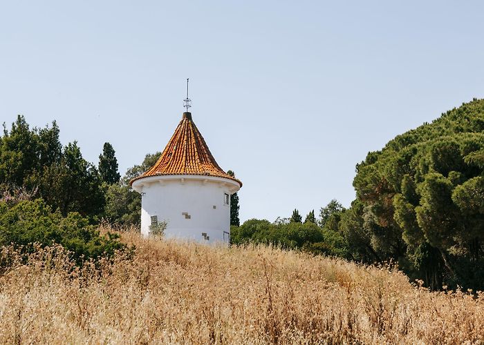 Monsanto Forest Park Visit Benfica: 2024 Travel Guide for Benfica, Lisbon District ... photo