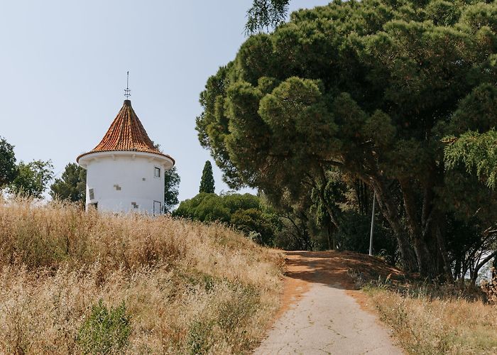 Monsanto Forest Park Visit Benfica: 2024 Travel Guide for Benfica, Lisbon District ... photo