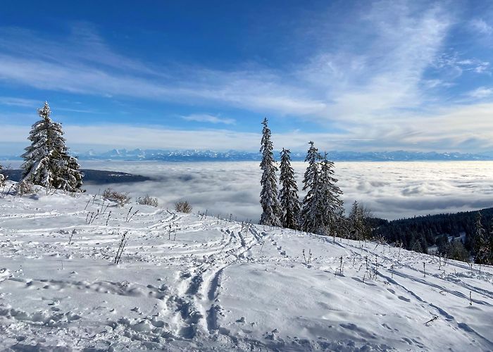 Tete de Ran Ski Backcountry - Vers l'Ouest, La Vue des Alpes - Mont Racine ... photo