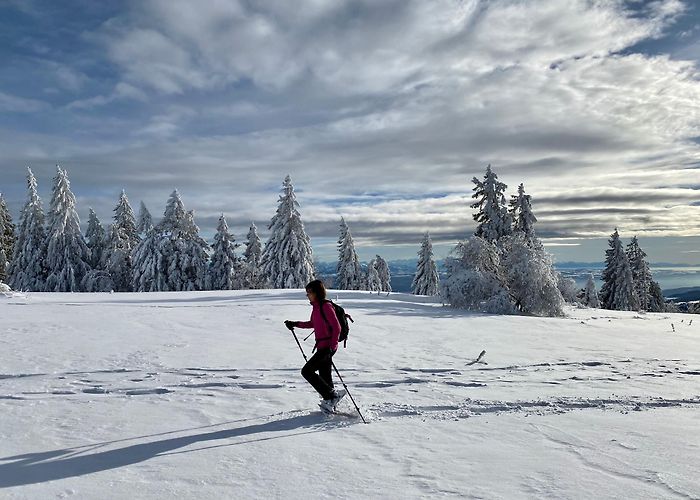 Tete de Ran La Vue des Alpes - Tête de Ran, La Vue des Alpes - Tête de Ran ... photo