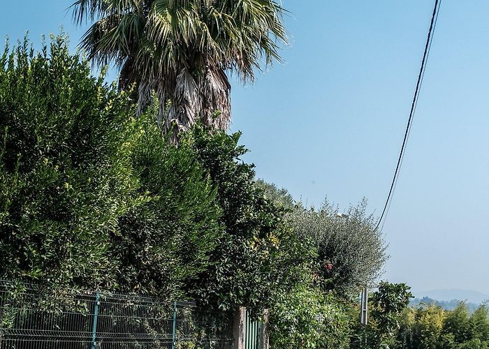 Tamel Camino Portugués: Day 4 - Tamel to Ponte de Lima — Tuljak! Travel Blog photo