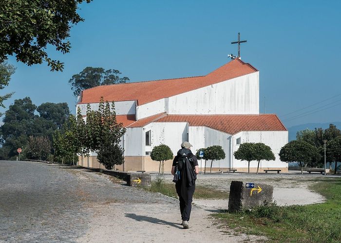 Tamel Camino Portugués: Day 4 - Tamel to Ponte de Lima — Tuljak! Travel Blog photo