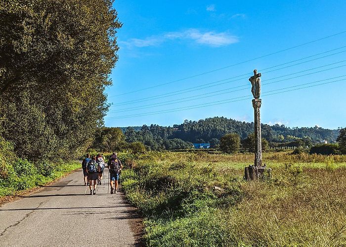 Tamel Camino Portuguese Central Route: Guide, Stages, and Map photo