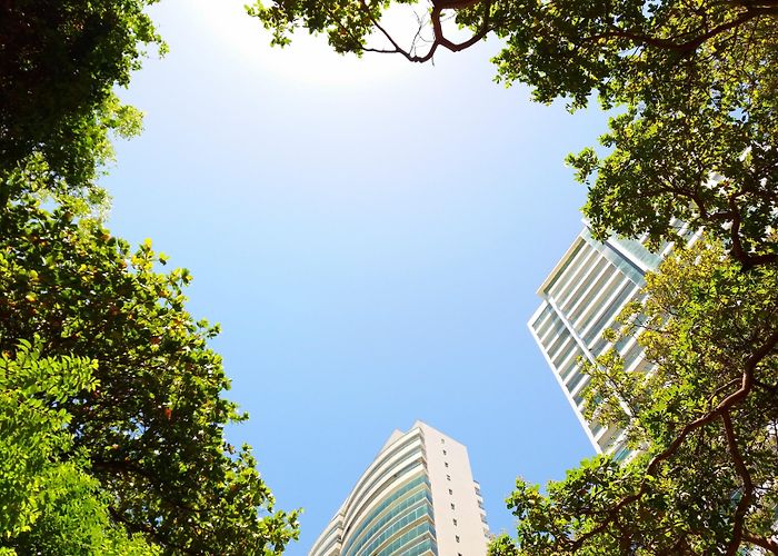 Parque do Cocó Coco Ecological Park Tours - Book Now | Expedia photo