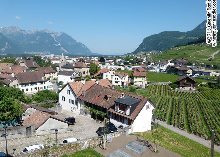 Fondation Hervé Bernard Cavé Vins | Quentin Sadler's Wine Page photo