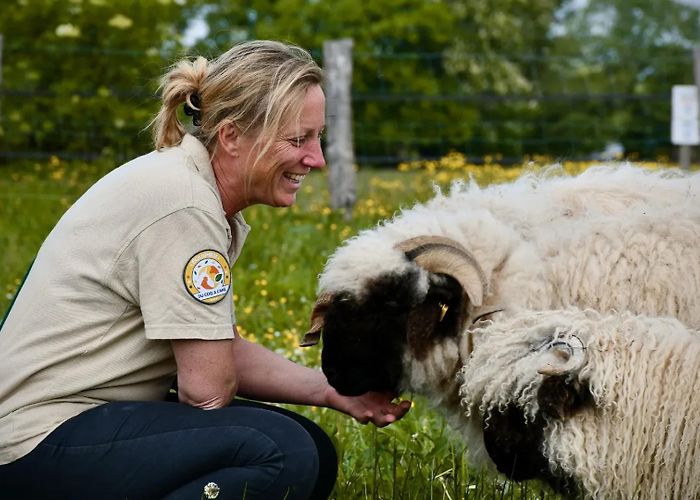 Maison du Marais poitevin Parc Du Coq à l'Âne - Niort Marais Poitevin Tourism photo