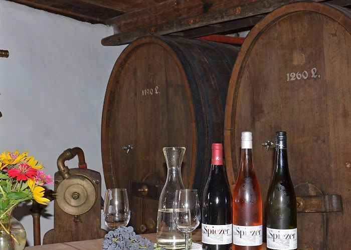 Heimat- u. Rebbaumuseum Museum of Local History and Viticulture photo