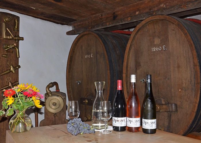 Heimat- u. Rebbaumuseum Museum of Local History and Viticulture photo