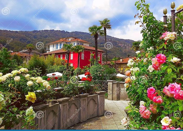 Valgrande National Park 2,056 Piedmont Park Spring Stock Photos - Free & Royalty-Free ... photo