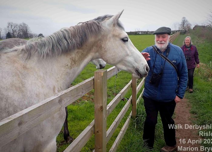 Maywood Golf Club risley | photo