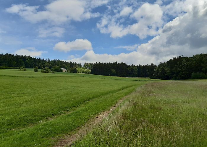 Ameisbergwarte Cycling in Kollerschlag: the best bike routes | Outdooractive photo