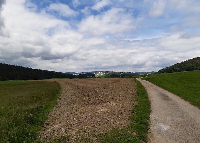 Ameisbergwarte The Top MTB Rides in Kollerschlag: find your trail | Outdooractive photo