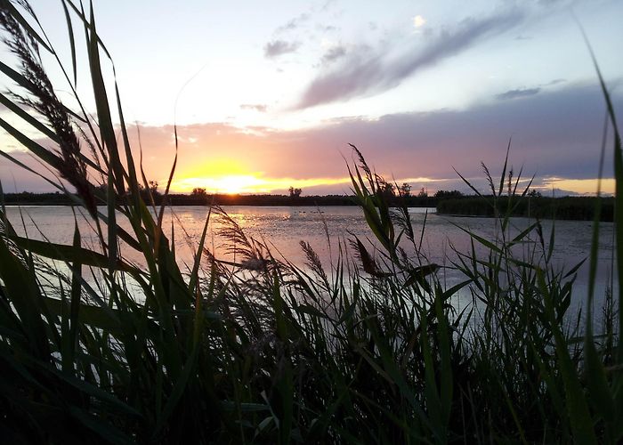 Le Camargue Les Saintes-Maries-de-la-Mer | Villes Sanctuaires en France photo