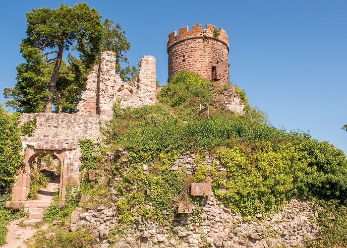 Château du Haut-Ribeaupierre Trail Alsace Grand Est by UTMB // Press kit by utmbmontblanc - Issuu photo