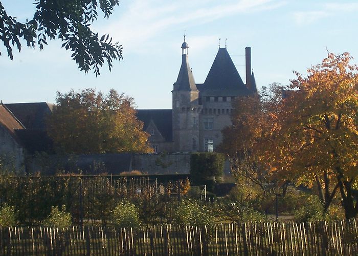 Parc de Talcy Château de Talcy in Talcy - Tours and Activities | Expedia photo