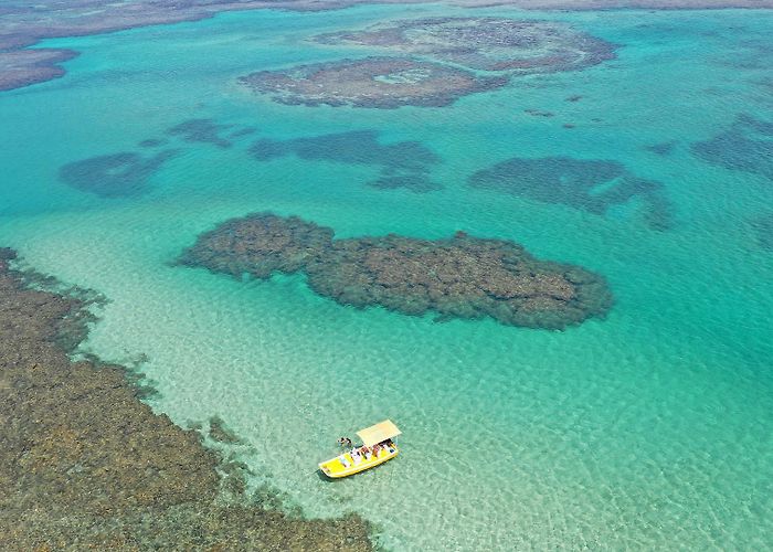 Toque Beach Sao Miguel dos Milagres Beach Tours - Book Now | Expedia photo