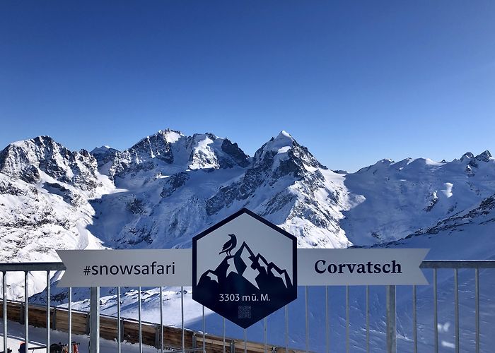 Murtel-Corvatsch St Moritz Corvatsch Furtschellas • Ski Holiday • Reviews • Skiing photo