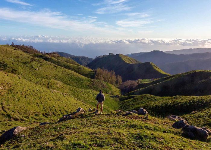 Handicraft Market Search - Visit Madeira | Madeira Islands Tourism Board official ... photo