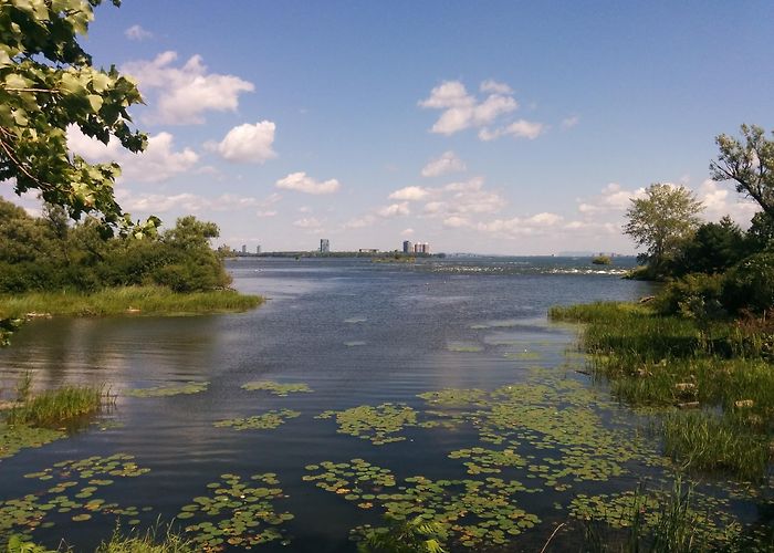 Des Rapides Park Parc des Rapides Tours - Book Now | Expedia photo