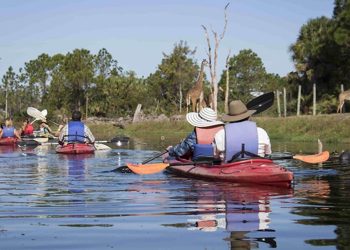Brevard Zoo Brevard Zoo Animal Adventures photo
