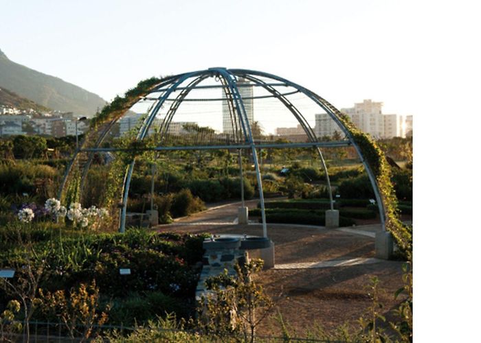 Green Point Urban Park Green Point Urban Park Cape Town WDC 2014 | Livegreenblog photo