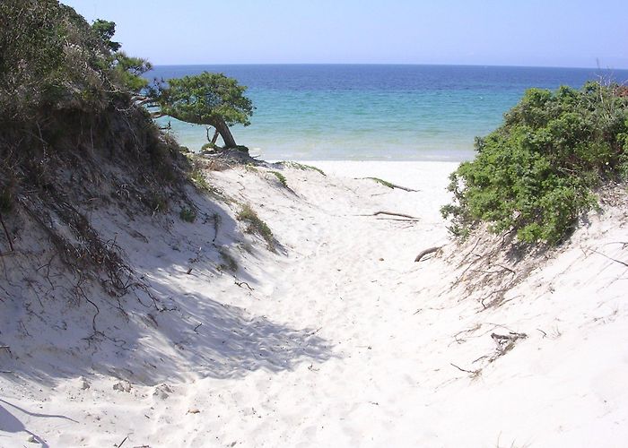 Maria Pia Beach Maria Pia Beach in Alghero: 6 reviews and 28 photos photo