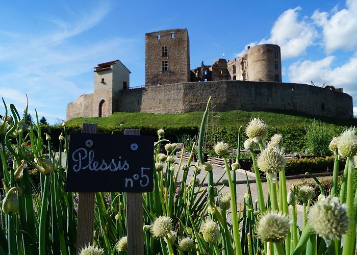 Musée du Château de Montrond les Bains Château de Montrond les Bains (Montrond-les-Bains) | adt-loire photo