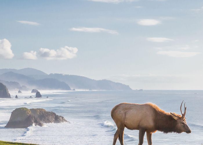 Lake Eland Zip Lines Travel Oregon Visitor Guide by Travel Oregon - Issuu photo