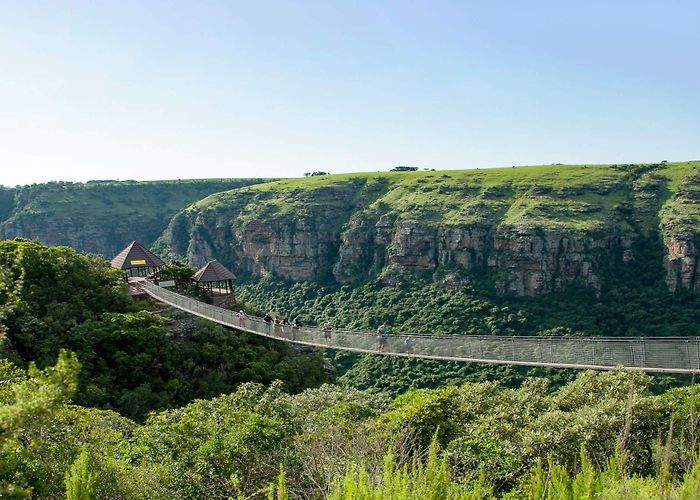 Lake Eland Zip Lines Lake Eland photo