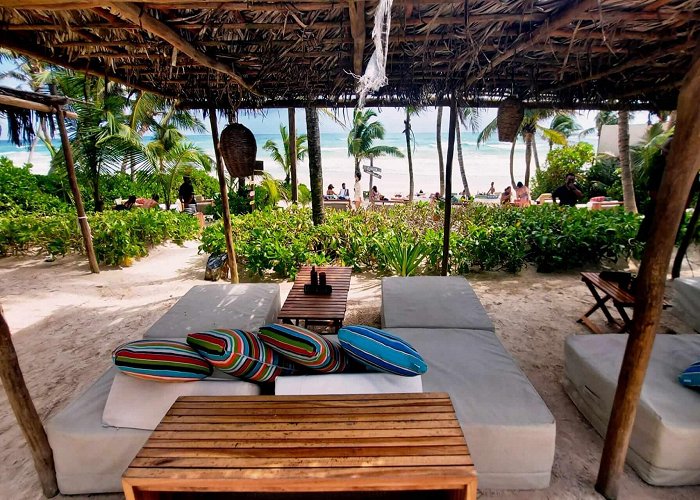 Ziggys Ziggy's Beach Club | THE BEACH TULUM HOTEL photo