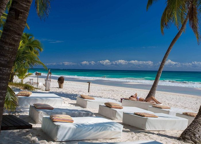 Ziggys Ziggy's Beach Club | THE BEACH TULUM HOTEL photo