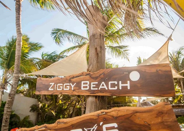 Ziggys Ziggy's Beach Club | THE BEACH TULUM HOTEL photo