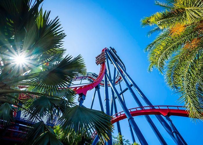 Busch Gardens Tampa Bay Busch Gardens Tampa Bay photo