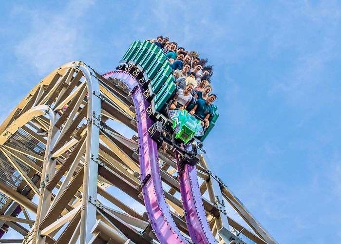 Busch Gardens Tampa Bay Busch Gardens Tampa Bay photo