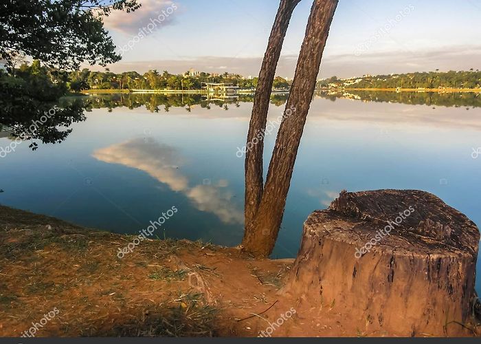 Pampulha Lagoon Beautiful Trees Planted Edge Pampulha Lagoon Belo Horizonte Stock ... photo