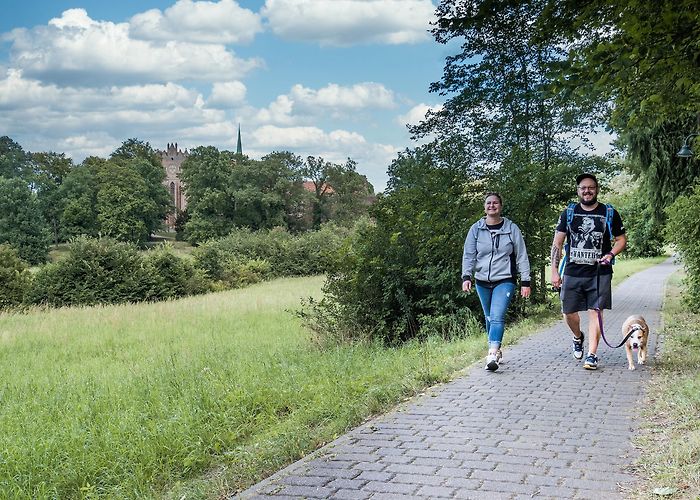 Forstbotanischer Garten Rund um die Schorfheide", hiking trail, Barnimer Land, Eberswalde photo