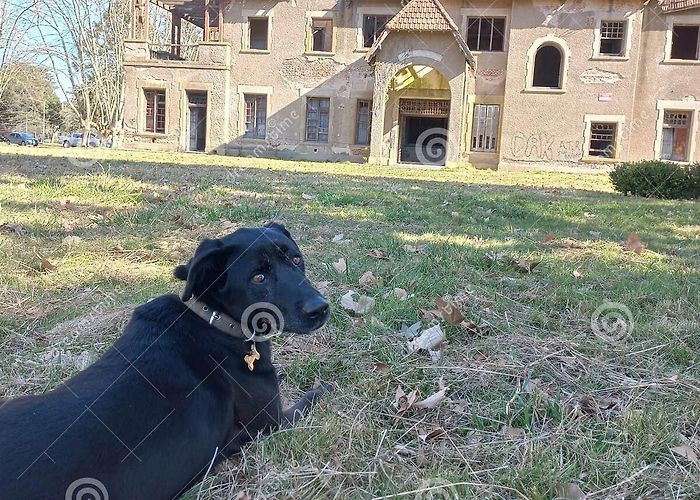 City Hall Abandoned Tandil City Castle Beautiful Stock Photo - Image of ... photo