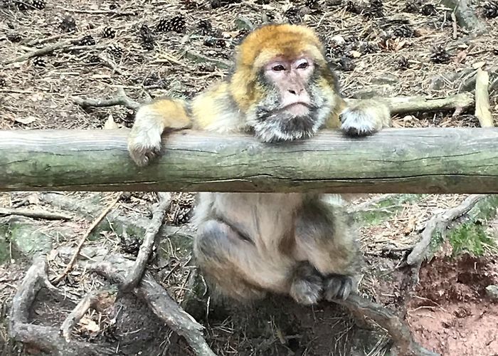 Naturschutzgebiet Taubergiessen Sélestat Vacation Rentals, Grand Est: house rentals & more | Vrbo photo