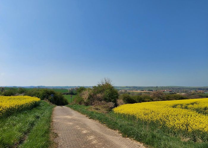 Naturschutzgebiet Taubergiessen The most beautiful gravel rides in Massif des Vosges | Outdooractive photo