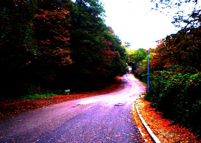 I Ciliegi Golf Club Top Hotels in Pecetto Torinese | Hotels.com photo