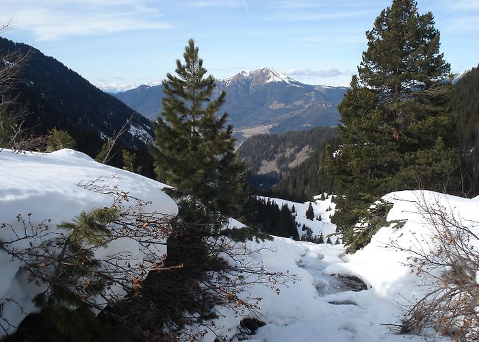 Latemar Visit Tesero: 2024 Travel Guide for Tesero, Trentino-Alto Adige ... photo