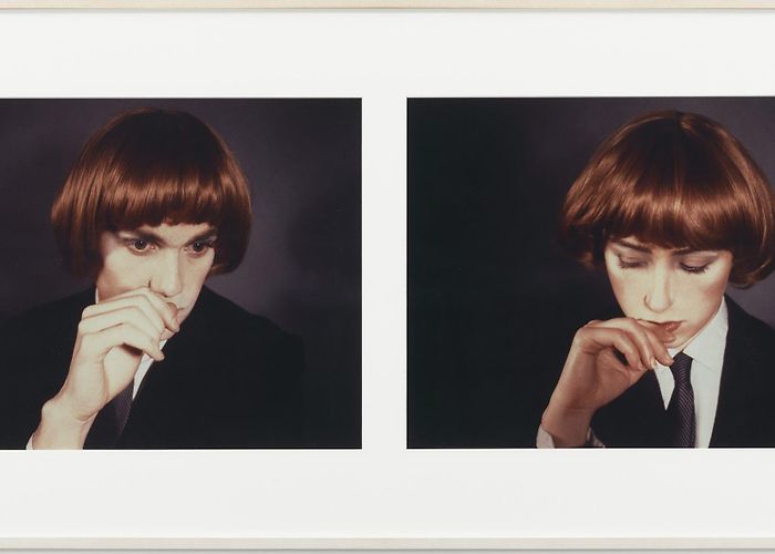 Barra Americana Venus Remembering Henry's Show Group Exhibition - The Brant Foundation photo