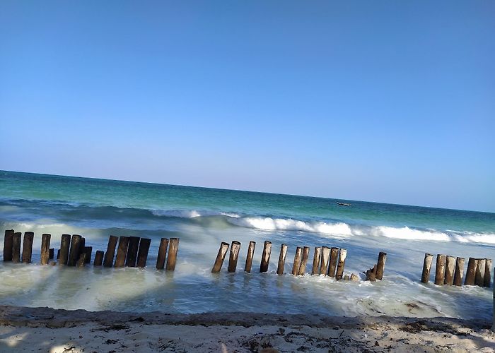 Kiwengwa (Zanzibar) photo