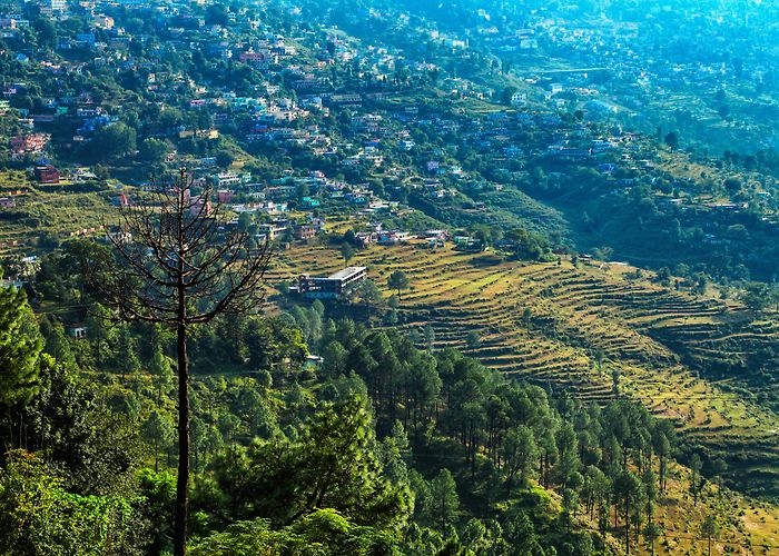 Almora photo