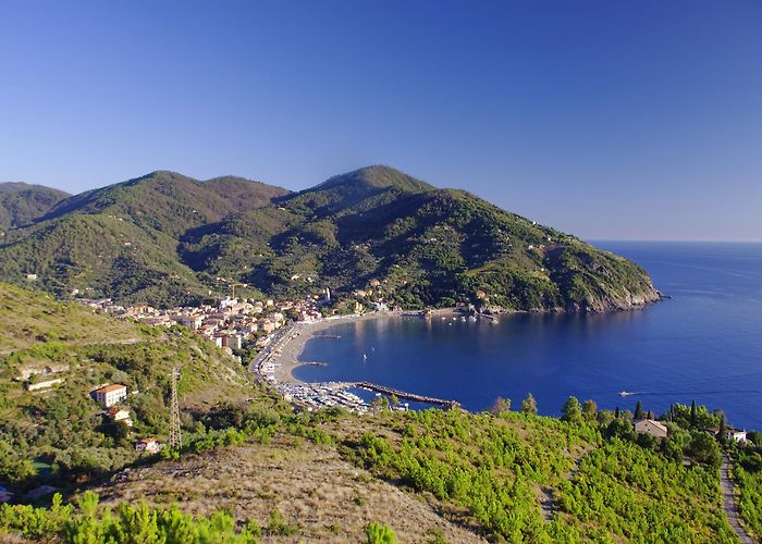 Levanto photo