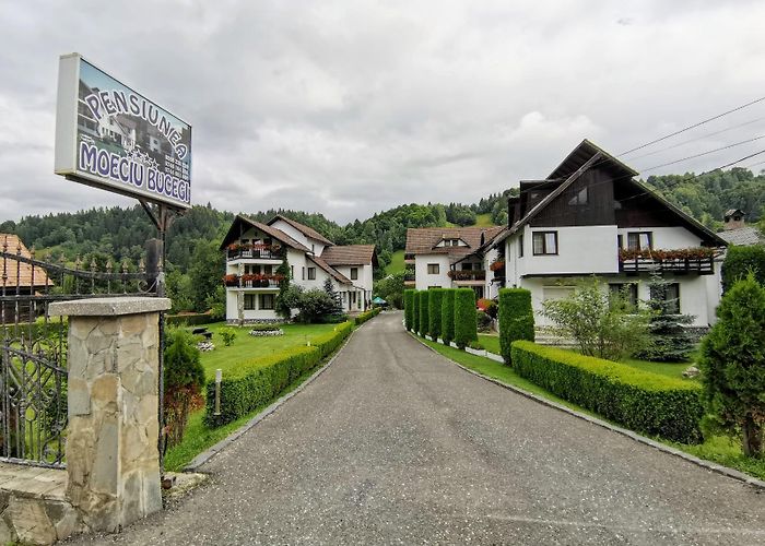 Moieciu de Jos photo